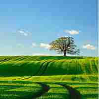 css案‌例​大​全‌